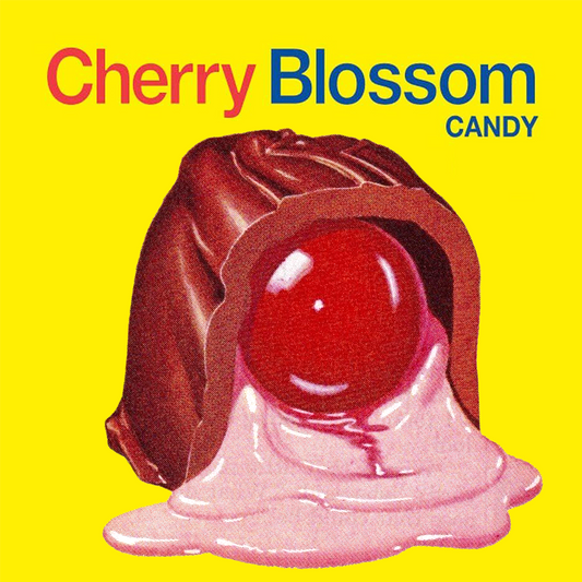 Cherry Blossom Chocolate - Digital Print Oversized Drop Shoulder T-Shirt